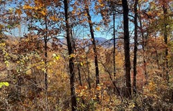 36 54c Ash Branch Circle, Hayesville, NC 28904