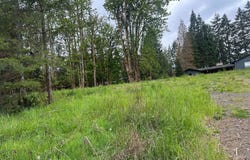 Oregon Tax ID 436205 AVE, Vernonia, OR 97064