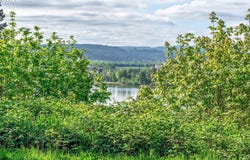 Mill Falls LN, Longview, WA 98632
