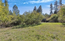 McClain Creek Meadows, Florence, MT 59833