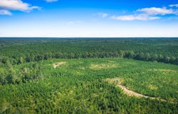 CR 4101, New Site, MS 38859