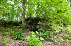 9999 Big Springs School Road, Irvine, KY 40336