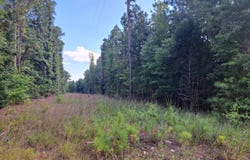 1001 Robinson Road, Ridgeway, SC 29130