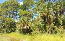1042 Savery Road, Palm Bay, FL 32908
