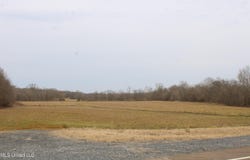 6000 Austin Road, Lake Cormorant, MS 38641