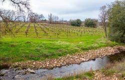 19944 Shenandoah School Rd, Plymouth, CA 95669
