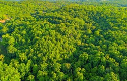 208 County Road 44, Athens, TN 37303