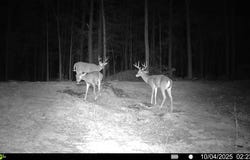 Highland Road, Murray, KY 42071