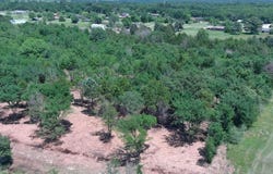 Tbd County Road 237, Fairfield, TX 75840