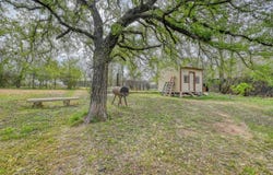 411 Ave N Avenue, Marble Falls, TX 78654