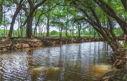 24000 State Highway 279, Cross Plains, TX 76443