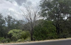 Lot 4107 Clayton Nolen, Horseshoe Bay, TX 78657