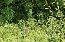 1379r Point Road, Galway, NY 12074