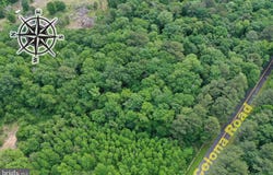 13.17 Acres COLONA ROAD, POCOMOKE CITY, MD 21851