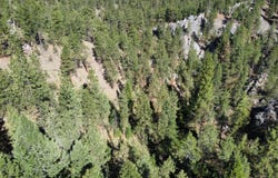 Jenkins Way lot: 3 & 4, Corvallis, MT 59828
