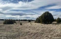 1120 S Ridgeway Place, Show Low, AZ 85901