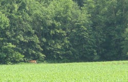 1250 E Co Road1100 S, Clay City, IN 47841