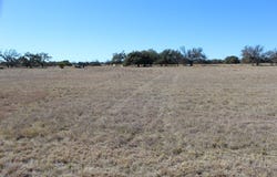 184 Lipan Loop, Harper, TX 78631