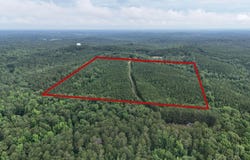SKYVIEW LAKE ROAD lot: 0, COTTONDALE, AL 35453