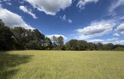 Sharon Road, Canton, MS 39046