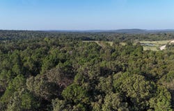 Damascus, AR 72039