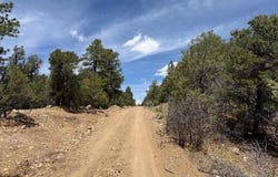 Upper Penabete lot: 58, Questa, NM 87556