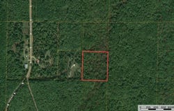 Forest Service Road, Birch Tree, MO 65438