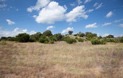 1584 Hidden Oaks Trail, Glen Rose, TX 76043