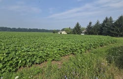 1 Frost Rd, Portland, MI 48875