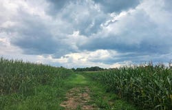 Aspen Wall Rd, Brookneal, VA 24528