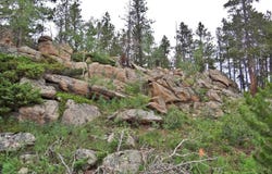 1921 Osage Trl, Red Feather Lakes, CO 80545