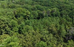 Pine Bluff Road, Cruger, MS 38924