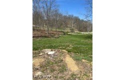 17607 Halleys Ridge Road, Pleasant City, OH 43772