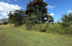 SECTOR MANANTIALES, BO. SABANA HOYOS, ARECIBO, 00612