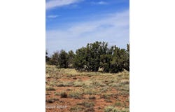 5438 County Line Road, Snowflake, AZ 85937