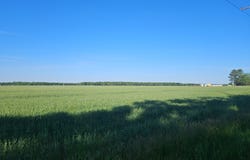 LOT 2 E SUNSET AVE, GREENSBOROUGH, MD 21639
