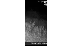 464 State Highway 146, Golconda, IL 62938