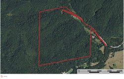 539 County Road 69A, Black, MO 63625