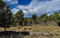2403 wrangler way, Durango, CO 81301