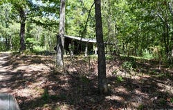 Stoney Point, Odem, AR 71961