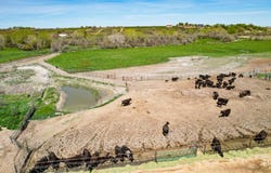 Tbd W Pioneer Road, Homedale, ID 83628