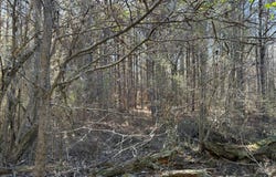 00 N. Long Ave, Taylor, AR 71861