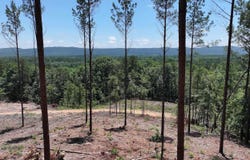 XXX Palmer Mountain Road, Caddo Gap, AR 71935