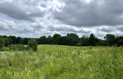 0 Newark Road, Solsberry, IN 47459
