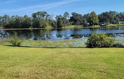 8130 Lake Carroll Dr, Donalsonville, GA 39845