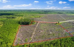 Tract 4 Morris Break Road, Odum, GA 31555