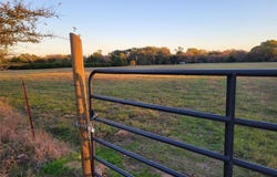 000 County Road 2854, Payne Springs, TX 75124