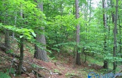 1 County Road 31, Ashland, AL 36251