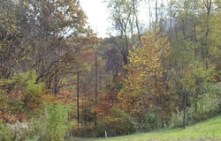 794 Millers Run Fallen Timber Road, Lucasville, OH 45648