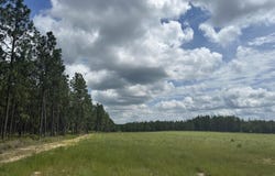 00 /Tbd Snipes Pond Rd, Aiken, SC 29805